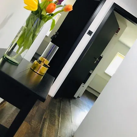 Picard Apartman - Sky Terrace - Egesz Evben شقة Balatonföldvár